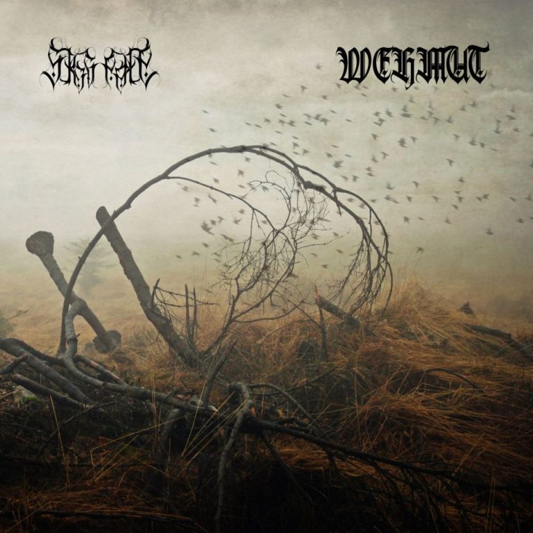 SKOGNATT/WEHMUT — Split