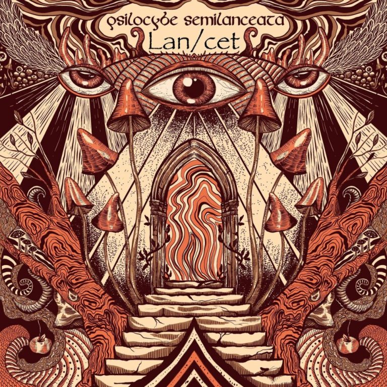 LAN-CET — Psilocybe semilanceata